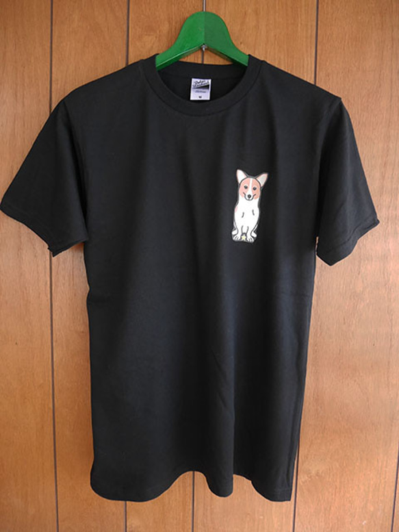 sale★コーギー半袖Tシャツ/フリーM 4枚目の画像