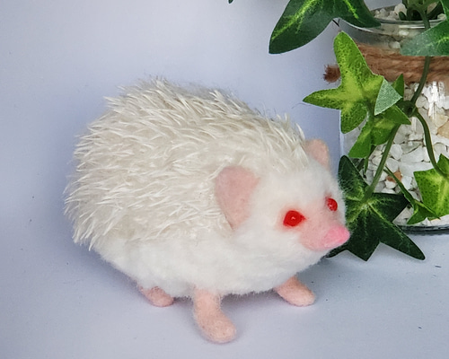 羊毛フェルト ハリネズミ☆アルビノ☆ 羊毛フェルト kireinairo