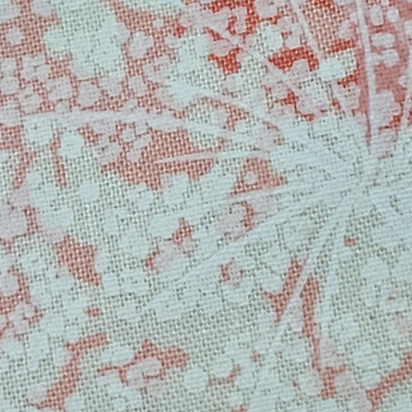 moda fabrics QUEEN ANNE'S LACE PLINXESS WILD BLOSSOMS 48733- 4枚目の画像