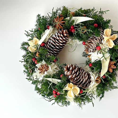 大量！【クリスマスリース・ハロウィンリースの材料】松ぼっくり・つばきなど 大量！【クリスマスリース・ハロウィンリースの材料】松ぼっくり