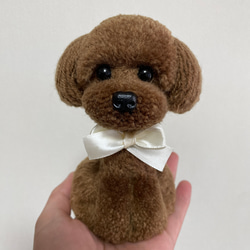 動物ぽんぽん トイプードル ブラウン 手のひらサイズ その他人形