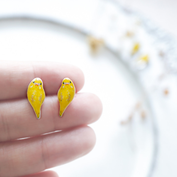 虎皮鸚鵡黃色Nigikoro Pukupuku一對手持小鳥耳環【鈦耳環可選】 第3張的照片
