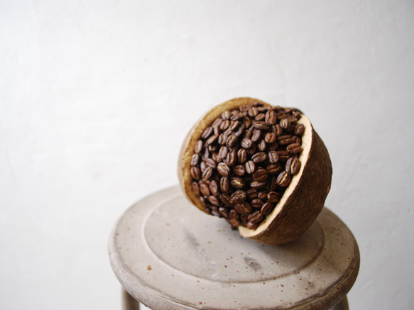 ten.：the MAMEコーヒー豆のブッダナッツ/ドライアレンジメント【受注制作】 4枚目の画像