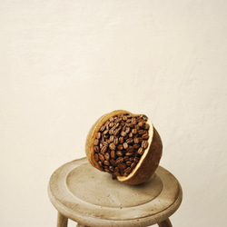 ten.：the MAMEコーヒー豆のブッダナッツ/ドライアレンジメント【受注制作】 5枚目の画像