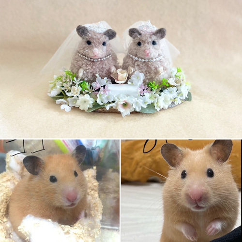 うちの子リングピロー 犬 猫 うさぎ モルモット ハムスター デグー