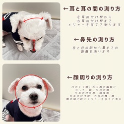 わんちゃんの目や頭を守る犬用帽子　⭐︎コーデュロイ生地（細コール）⭐︎ 【オールドローズ】 6枚目の画像