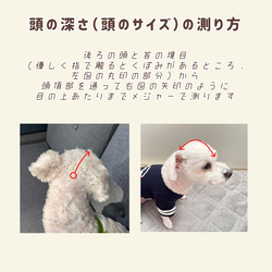 わんちゃんの目や頭を守る犬用帽子　⭐︎コーデュロイ生地（細コール）⭐︎ 【オールドローズ】 7枚目の画像