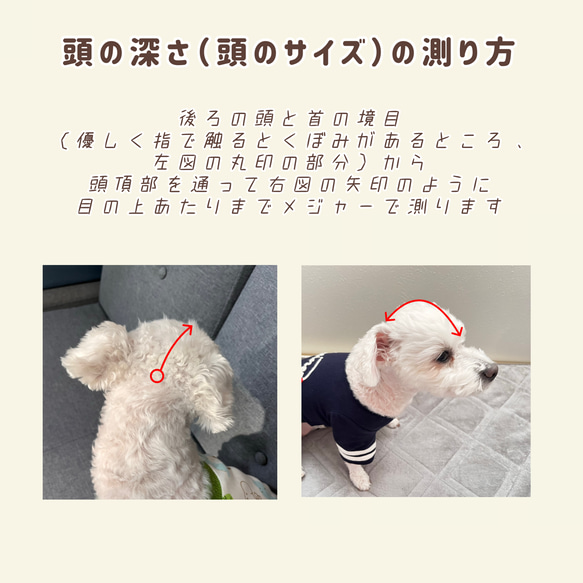 わんちゃんの目や頭を守る犬用帽子　⭐︎岡山デニム生地⭐︎ 【インディゴブルー】 7枚目の画像