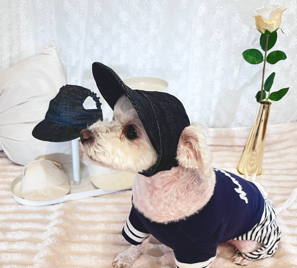 わんちゃんの目や頭を守る犬用帽子　⭐︎岡山デニム生地⭐︎ 【インディゴブルー】 4枚目の画像