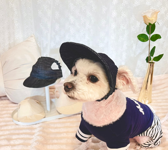 わんちゃんの目や頭を守る犬用帽子　⭐︎岡山デニム生地⭐︎ 【インディゴブルー】 3枚目の画像