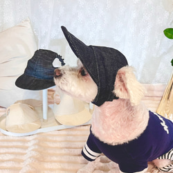 わんちゃんの目や頭を守る犬用帽子　⭐︎岡山デニム生地⭐︎ 【インディゴブルー】 2枚目の画像