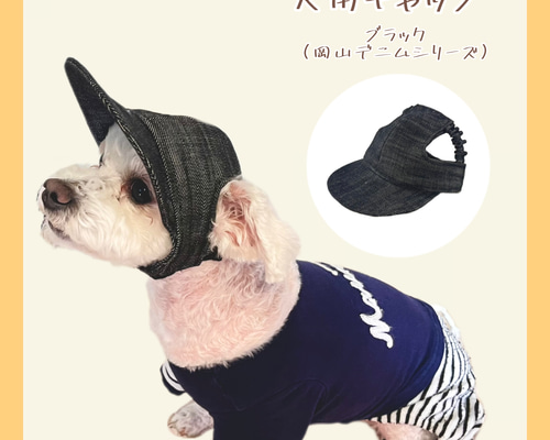 1bfc67426a878068756e316c5249c9