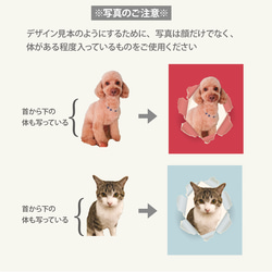 両面100枚ペット名刺うちの子画像入りセミオーダー！名刺　オフ会に　犬　猫　印刷会社で印刷（穴あき縦） 16枚目の画像