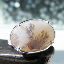 デンドリティック アゲート リング / Dendritic Agate Ring a3 3枚目の画像