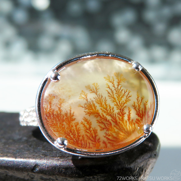 デンドリティック アゲート リング / Dendritic Agate Ring a4 3枚目の画像