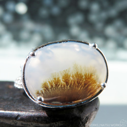 デンドリティック アゲート リング / Dendritic Agate Ring a5 3枚目の画像