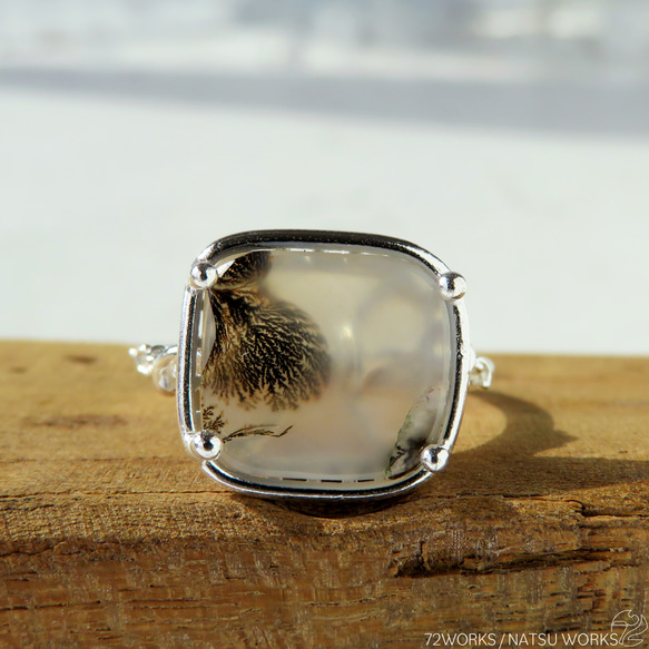 デンドリティック アゲート リング / Dendritic Agate Ring m2 3枚目の画像