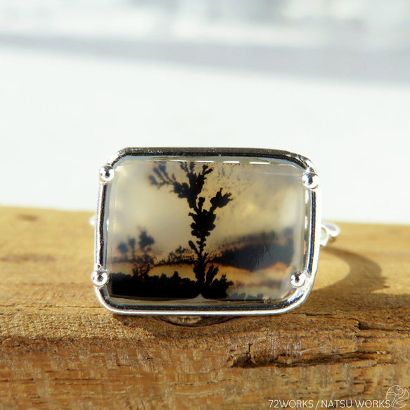 デンドリティック アゲート リング / Dendritic Agate Ring m6 3枚目の画像