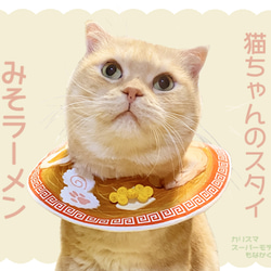 【猫ちゃんのスタイ】みそラーメン【再販】 1枚目の画像