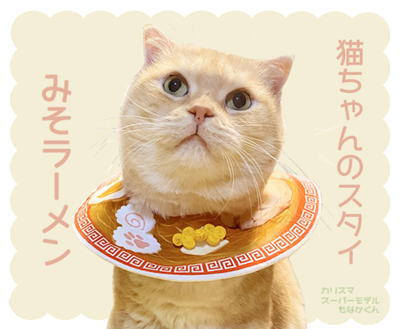 【猫ちゃんのスタイ】みそラーメン【再販】 1枚目の画像