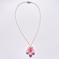 桜一輪 ネックレス / 14kgf / 本物の桜 sakura pink 3枚目の画像