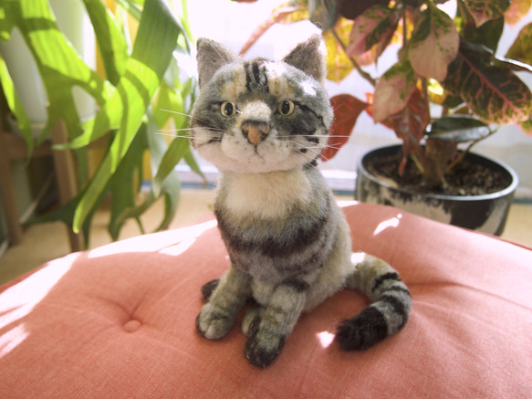 オーダーメイド】猫さんとの思い出を形に残しませんか？ 羊毛