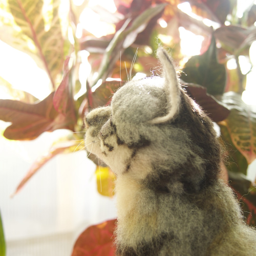 羊毛フェルト ぬいぐるみ 置物 ペット 猫 肖像画 プレゼント 記念 メモリアル 羊毛フェルト ぬいぐるみ 置物 ペット 猫 肖像画 プレゼント 記念