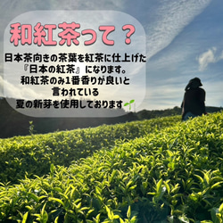 【華やかな香りの日本の紅茶♪】和紅茶powder60g(約60杯分)　農薬・化学肥料・除草剤・畜産堆肥不使用 3枚目の画像