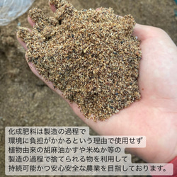【華やかな香りの日本の紅茶♪】和紅茶powder60g(約60杯分)　農薬・化学肥料・除草剤・畜産堆肥不使用 11枚目の画像