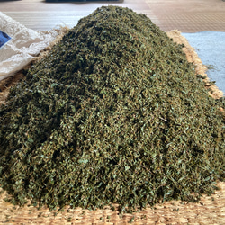 【華やかな香りの日本の紅茶♪】和紅茶powder60g(約60杯分)　農薬・化学肥料・除草剤・畜産堆肥不使用 7枚目の画像