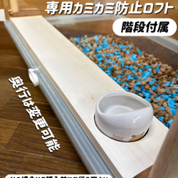 Amazon.co.jp: ゴールデン ジャンガリアン ハムスター ハウス
