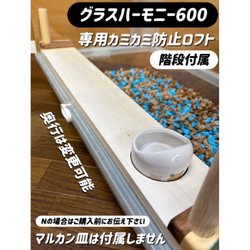 ハムスター グラスハーモニー450専用ロフトハウス 階段付属 ハムスター グラスハーモニー450専用ロフトハウス 階段付属