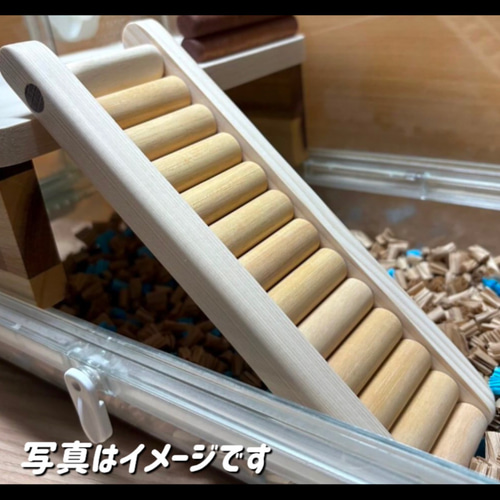 ハムスター グラスハーモニー600カミカミ防止ロフト 階段付属 ハムスター グラスハーモニー600カミカミ防止ロフト 階段付属