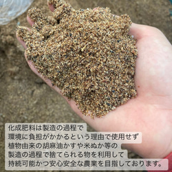 ＊無農薬お茶＊ 宇治抹茶　化学肥料・除草剤・畜産堆肥不使用　2023年産 8枚目の画像