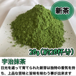 【華やかな香りと上品な苦味♪】宇治抹茶20g(約20杯分)  農薬・化学肥料・除草剤・畜産堆肥不使用 宇治茶100% 1枚目の画像