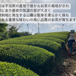 【華やかな香りと上品な苦味♪】宇治抹茶20g(約20杯分)  農薬・化学肥料・除草剤・畜産堆肥不使用 宇治茶100% 8枚目の画像