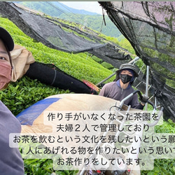 ＊無農薬お茶＊ 宇治抹茶　化学肥料・除草剤・畜産堆肥不使用　2023年産 5枚目の画像