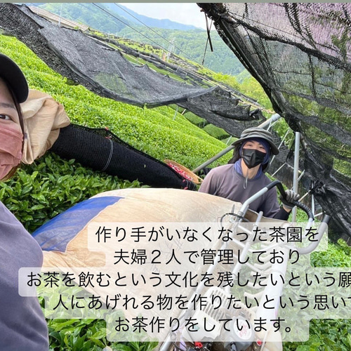 華やかな香りと上品な苦味♪】宇治抹茶20g(約20杯分) 農薬・化学