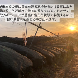 【華やかな香りと上品な苦味♪】宇治抹茶20g(約20杯分)  農薬・化学肥料・除草剤・畜産堆肥不使用 宇治茶100% 7枚目の画像
