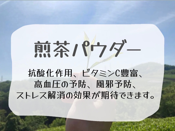 ＊無農薬お茶＊ 煎茶パウダー　化学肥料・除草剤・畜産堆肥不使用　2023年産 2枚目の画像