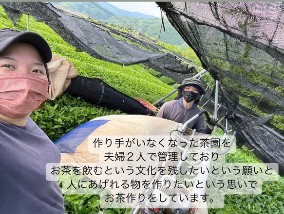 ＊無農薬お茶＊浅煎りほうじ茶パウダー　化学肥料・除草剤・畜産堆肥不使用　2023年産 4枚目の画像