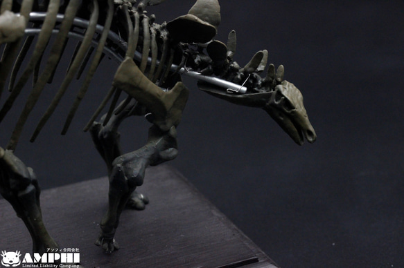 【受注生産】ステゴサウルス　縮小全身骨格レプリカ　1/20スケール 10枚目の画像