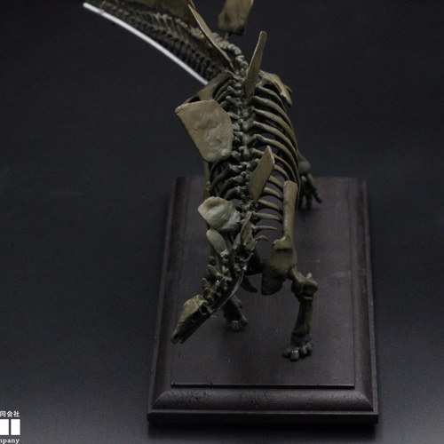 受注生産】ステゴサウルス 縮小全身骨格レプリカ 1/20スケール