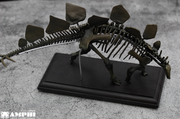 【受注生産】ステゴサウルス　縮小全身骨格レプリカ　1/20スケール 1枚目の画像