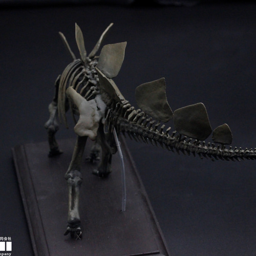 受注生産】ステゴサウルス 縮小全身骨格レプリカ 1/20スケール 受注生産】ステゴサウルス 縮小全身骨格レプリカ 1/20スケール