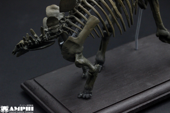 【受注生産】ステゴサウルス　縮小全身骨格レプリカ　1/20スケール 9枚目の画像