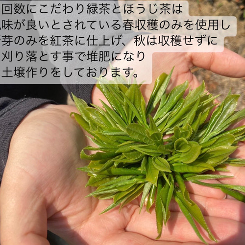 無農薬お茶＊ 玄米茶パウダー 化学肥料不使用 宇治茶100% 2023