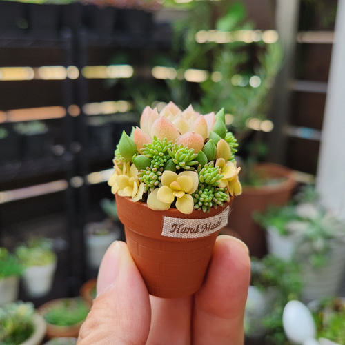 小さな多肉植物の寄せ植え その他雑貨 amt 通販 16750503