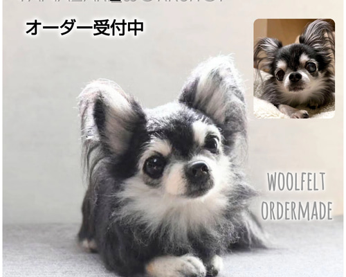 オーダーメイド専門 羊毛フェルト うちの子 受注生産 犬 猫