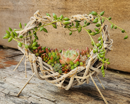 多肉植物の寄せ植え その他雑貨 amt 通販 16750688｜Creema